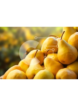 Σετ των 2 Intra Συλλεκτικό Ξύλινο Παζλ Plywood  4mm - Σωρός από ώριμα κίτρινα αχλάδια σε ένα καλάθι Σε Ξύλινο Κουτί - Διαστάσεις: 10x10 cm – 25 κομμάτια