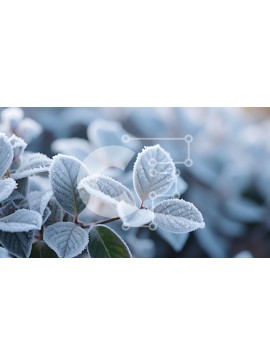 Intra Συλλεκτικό Ξύλινο Παζλ Plywood  4mm - Κοντινό πλάνο από παγωμένα φύλλα φυτών Σε Ξύλινο Κουτί - Διαστάσεις: 10x10 cm – 25 κομμάτια