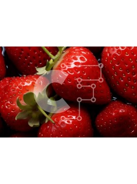 Σετ των 2 Intra Συλλεκτικό Ξύλινο Παζλ Plywood  4mm - Φρέσκες φράουλες σε κύκλο Σε Ξύλινο Κουτί - Διαστάσεις: 10x10 cm – 25 κομμάτια