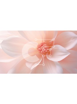 Intra Συλλεκτικό Ξύλινο Παζλ Plywood  4mm - Κοντινό πλάνο ενός ελκυστικού ροζ λουλουδιού σε λευκό φόντο Σε Ξύλινο Κουτί - Διαστάσεις: 10x10 cm – 25 κομμάτια