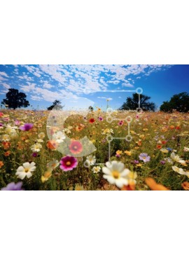 Intra Συλλεκτικό Ξύλινο Παζλ Plywood  4mm - Πεδίο με αγριολούλουδα μια ηλιόλουστη μέρα Σε Ξύλινο Κουτί - Διαστάσεις: 10x10 cm – 25 κομμάτια