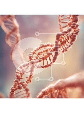 Intra Συλλεκτικό Ξύλινο Παζλ Plywood  4mm - Κοντινή όψη του κλώνου DNA Σε Ξύλινο Κουτί - Διαστάσεις Puzzle: 10x10 cm – 25 κομμάτια