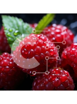 Σετ των 2 Intra Συλλεκτικό Ξύλινο Παζλ Plywood  4mm - Ομάδα φρέσκων σμέουρων με σταγονίδια νερού Σε Ξύλινο Κουτί - Διαστάσεις: 10x10 cm – 25 κομμάτια