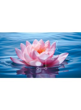 Intra Συλλεκτικό Ξύλινο Παζλ Plywood  4mm - Όμορφο ροζ λουλούδι λωτού στο νερό Σε Ξύλινο Κουτί - Διαστάσεις: 10x10 cm – 25 κομμάτια