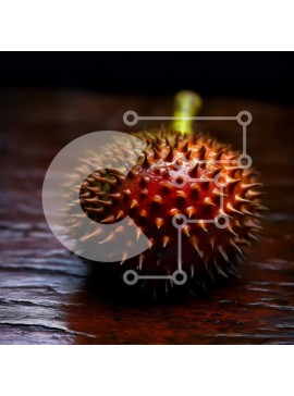 Σετ των 2 Intra Συλλεκτικό Ξύλινο Παζλ Plywood  4mm - Φρέσκο ​​κόκκινο φρούτο Durian σε ένα φυσικό ξύλινο τραπέζι Σε Ξύλινο Κουτί - Διαστάσεις: 10x10 cm – 25 κομμάτια