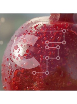 Σετ των 2 Intra Συλλεκτικό Ξύλινο Παζλ Plywood  4mm - Φρέσκο ​​και ζουμερό κόκκινο ρόδι με σταγόνες νερού Σε Ξύλινο Κουτί - Διαστάσεις: 10x10 cm – 25 κομμάτια