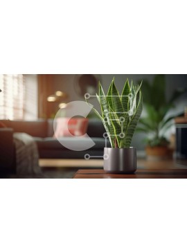 Intra Συλλεκτικό Ξύλινο Παζλ Plywood  4mm - Σαλόνι με έπιπλα και φυτά σε γλάστρες Σε Ξύλινο Κουτί - Διαστάσεις Puzzle: 10x10 cm – 25 κομμάτια