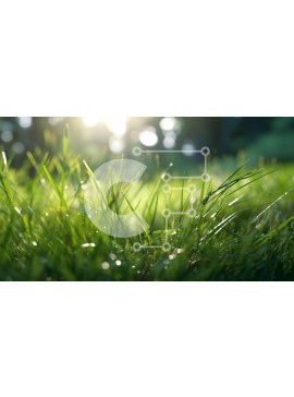 Intra Συλλεκτικό Ξύλινο Παζλ Plywood  4mm - Όμορφη εικόνα της πράσινης χλόης στο πρωινό φως του ήλιου Σε Ξύλινο Κουτί - Διαστάσεις: 10x10 cm – 25 κομμάτια