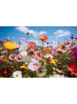 Intra Συλλεκτικό Ξύλινο Παζλ Plywood  4mm - Πανέμορφη εικόνα ενός χωραφιού με πολύχρωμα αγριολούλουδα μια ηλιόλουστη μέρα Σε Ξύλινο Κουτί - Διαστάσεις: 10x10 cm – 25 κομμάτια