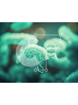 Intra Συλλεκτικό Ξύλινο Παζλ Plywood  4mm - Κοντινή όψη ενός ουδετερόφιλου λευκού αιμοσφαιρίου Σε Ξύλινο Κουτί - Διαστάσεις Puzzle: 10x10 cm – 25 κομμάτια