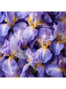 Intra Συλλεκτικό Ξύλινο Παζλ Plywood  4mm - Όμορφη κινηματογράφηση σε πρώτο πλάνο από μωβ λουλούδια ίριδας με κίτρινα κέντρα Σε Ξύλινο Κουτί - Διαστάσεις: 10x10 cm – 25 κομμάτια