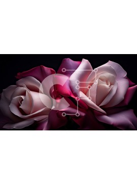 Intra Συλλεκτικό Ξύλινο Παζλ Plywood  4mm - Ροζ και άσπρα τριαντάφυλλα σε μαύρο φόντο Σε Ξύλινο Κουτί - Διαστάσεις: 10x10 cm – 25 κομμάτια