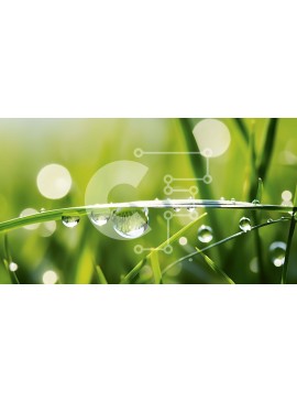 Intra Συλλεκτικό Ξύλινο Παζλ Plywood  4mm - Κοντινό πλάνο σταγονίδια νερού στο Blades of Grass Σε Ξύλινο Κουτί - Διαστάσεις: 10x10 cm – 25 κομμάτια