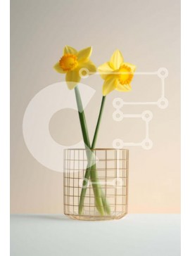 Σετ των 2 Intra Συλλεκτικό Ξύλινο Παζλ Plywood  4mm - Φρέσκοι και ζωντανοί κίτρινοι ασφόδελοι σε μεταλλικό βάζο Σε Ξύλινο Κουτί - Διαστάσεις: 10x10 cm – 25 κομμάτια