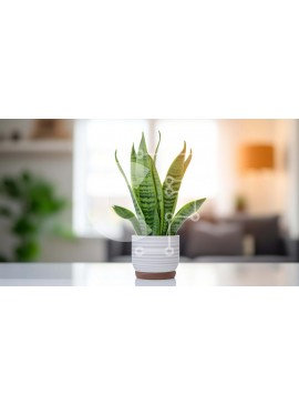 Intra Συλλεκτικό Ξύλινο Παζλ Plywood  4mm - Φυτό σε γλάστρα στο τραπέζι στο σαλόνι Σε Ξύλινο Κουτί - Διαστάσεις: 10x10 cm – 25 κομμάτια