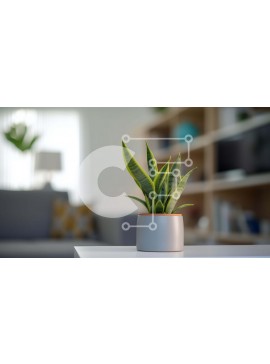 Intra Συλλεκτικό Ξύλινο Παζλ Plywood  4mm - Μικρό φυτό σε γλάστρα σε λευκό τραπέζι στο σαλόνι Σε Ξύλινο Κουτί - Διαστάσεις Puzzle: 10x10 cm – 25 κομμάτια