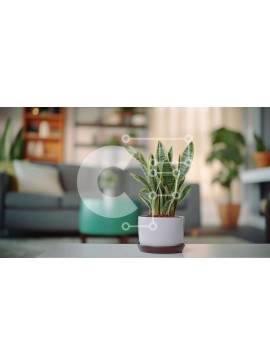 Intra Συλλεκτικό Ξύλινο Παζλ Plywood  4mm - Μικρό φυτό σε γλάστρα στο τραπέζι του σαλονιού Σε Ξύλινο Κουτί - Διαστάσεις Puzzle: 10x10 cm – 25 κομμάτια