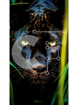 Σετ των 2 Intra Συλλεκτικό Ξύλινο Παζλ Plywood  4mm - Κομψός και λαμπερός Μαύρος Πάνθηρας με πράσινα μάτια στη πυκνή ζούγκλα Σε Ξύλινο Κουτί - Διαστάσεις: 10x10 cm – 25 κομμάτια