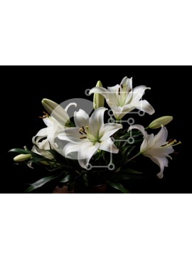 Intra Συλλεκτικό Ξύλινο Παζλ Plywood  4mm - Όμορφη εικόνα της ανθοδέσμης με λευκούς κρίνους σε βάζο σε μαύρο φόντο Σε Ξύλινο Κουτί - Διαστάσεις: 10x10 cm – 25 κομμάτια