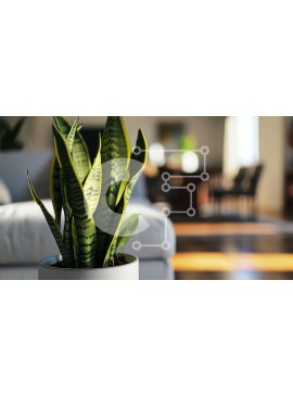 Intra Συλλεκτικό Ξύλινο Παζλ Plywood  4mm - Υγιές φυτό σε γλάστρα στο σαλόνι Σε Ξύλινο Κουτί - Διαστάσεις Puzzle: 10x10 cm – 25 κομμάτια