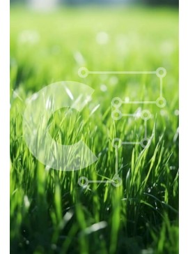 Σετ των 2 Intra Συλλεκτικό Ξύλινο Παζλ Plywood  4mm - Πράσινο χωράφι με γρασίδι με το φως του ήλιου Σε Ξύλινο Κουτί - Διαστάσεις: 10x10 cm – 25 κομμάτια