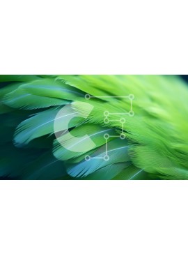 Intra Συλλεκτικό Ξύλινο Παζλ Plywood  4mm - Κοντινό πλάνο με πολύχρωμα φτερά που επιπλέουν στον αέρα Σε Ξύλινο Κουτί - Διαστάσεις: 10x10 cm – 25 κομμάτια