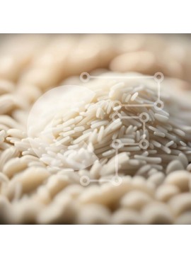 Σετ των 2 Intra Συλλεκτικό Ξύλινο Παζλ Plywood  4mm - Εικόνα υψηλής ποιότητας από κόκκους λευκού ρυζιού από κοντά Σε Ξύλινο Κουτί - Διαστάσεις: 10x10 cm – 25 κομμάτια