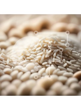 Σετ των 2 Intra Συλλεκτικό Ξύλινο Παζλ Plywood  4mm - Κοντινό πλάνο με κόκκους λευκού ρυζιού Σε Ξύλινο Κουτί - Διαστάσεις: 10x10 cm – 25 κομμάτια