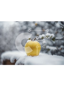 Intra Συλλεκτικό Ξύλινο Παζλ Plywood  4mm - Κίτρινο μήλο στον χιονισμένο φράκτη Σε Ξύλινο Κουτί - Διαστάσεις: 10x10 cm – 25 κομμάτια