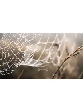 Intra Συλλεκτικό Ξύλινο Παζλ Plywood  4mm - Ιστός αράχνης με σταγόνες δροσιάς στο ψηλό γρασίδι Σε Ξύλινο Κουτί - Διαστάσεις: 10x10 cm – 25 κομμάτια