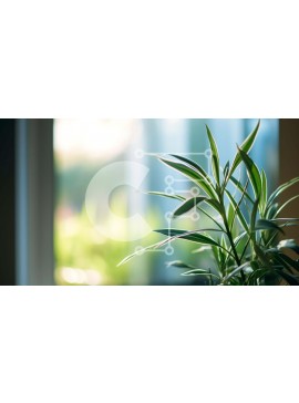 Intra Συλλεκτικό Ξύλινο Παζλ Plywood  4mm - Φυτό εσωτερικού χώρου σε γλάστρα μπροστά από το παράθυρο Σε Ξύλινο Κουτί - Διαστάσεις Puzzle: 10x10 cm – 25 κομμάτια