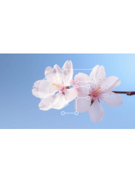 Intra Συλλεκτικό Ξύλινο Παζλ Plywood  4mm - Ροζ λουλούδια σε κλαδί με μπλε ουρανό Σε Ξύλινο Κουτί - Διαστάσεις: 10x10 cm – 25 κομμάτια