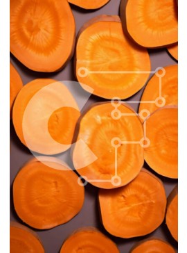 Σετ των 2 Intra Συλλεκτικό Ξύλινο Παζλ Plywood  4mm - Καρότα σε φέτες για μαγείρεμα ή ψήσιμο Σε Ξύλινο Κουτί - Διαστάσεις: 10x10 cm – 25 κομμάτια