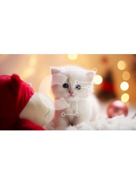 Intra Συλλεκτικό Ξύλινο Παζλ Plywood  4mm - Λευκό γατάκι με μπλε μάτια σε διακοσμημένη κουβέρτα Σε Ξύλινο Κουτί - Διαστάσεις: 10x10 cm – 25 κομμάτια