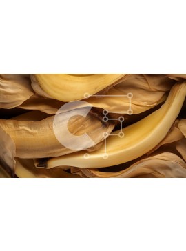 Σετ των 2 Intra Συλλεκτικό Ξύλινο Παζλ Plywood  4mm - Αποσύνθεση φλούδες μπανάνας και ώριμες μπανάνες Σε Ξύλινο Κουτί - Διαστάσεις: 10x10 cm – 25 κομμάτια