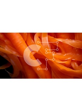Σετ των 2 Intra Συλλεκτικό Ξύλινο Παζλ Plywood  4mm - Κοντινό πλάνο αιωρούμενων πορτοκαλί καρότων Σε Ξύλινο Κουτί - Διαστάσεις: 10x10 cm – 25 κομμάτια