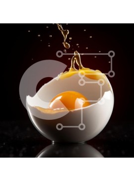 Σετ των 2 Intra Συλλεκτικό Ξύλινο Παζλ Plywood  4mm - Σπασμένο αυγό με λάδι πιτσιλίσματος Σε Ξύλινο Κουτί - Διαστάσεις: 10x10 cm – 25 κομμάτια