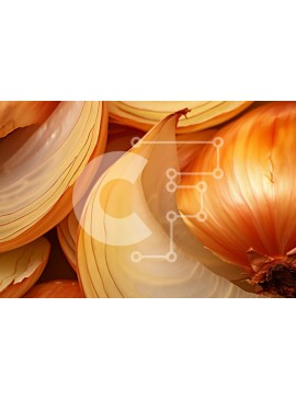 Σετ των 2 Intra Συλλεκτικό Ξύλινο Παζλ Plywood  4mm - Κινηματογράφηση σε πρώτο πλάνο των κίτρινων κρεμμυδιών Σε Ξύλινο Κουτί - Διαστάσεις: 10x10 cm – 25 κομμάτια