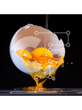 Σετ των 2 Intra Συλλεκτικό Ξύλινο Παζλ Plywood  4mm - Μαγειρεμένα αυγά έτοιμα για κατανάλωση Σε Ξύλινο Κουτί - Διαστάσεις: 10x10 cm – 25 κομμάτια