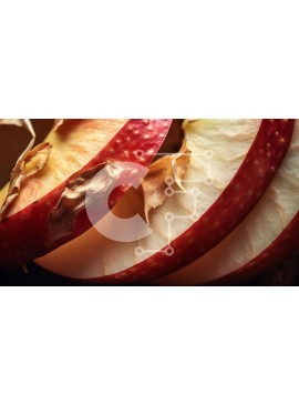 Σετ των 2 Intra Συλλεκτικό Ξύλινο Παζλ Plywood  4mm - Κοντινό πλάνο πολύχρωμες φέτες μήλου με αποξηραμένα φύλλα Σε Ξύλινο Κουτί - Διαστάσεις: 10x10 cm – 25 κομμάτια