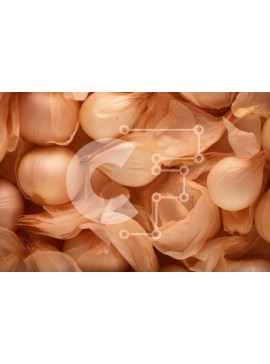 Σετ των 2 Intra Συλλεκτικό Ξύλινο Παζλ Plywood  4mm - Ποικιλία κρεμμυδιών τυλιγμένα σε χαρτοπετσέτες Σε Ξύλινο Κουτί - Διαστάσεις: 10x10 cm – 25 κομμάτια