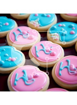 Σετ των 2 Intra Συλλεκτικό Ξύλινο Παζλ Plywood  4mm - Πολύχρωμα διακοσμημένα μπισκότα Σε Ξύλινο Κουτί - Διαστάσεις: 10x10 cm – 25 κομμάτια