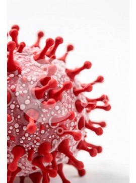 Intra Συλλεκτικό Ξύλινο Παζλ Plywood  4mm - Αναλυτική αναπαράσταση ενός ιού Σε Ξύλινο Κουτί - Διαστάσεις Puzzle: 10x10 cm – 25 κομμάτια