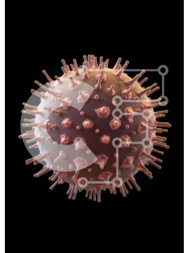 Intra Συλλεκτικό Ξύλινο Παζλ Plywood  4mm - 3D εικόνα ενός κορωνοϊού Σε Ξύλινο Κουτί - Διαστάσεις Puzzle: 10x10 cm – 25 κομμάτια