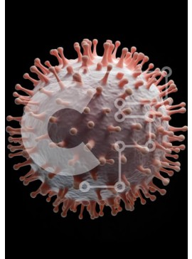 Intra Συλλεκτικό Ξύλινο Παζλ Plywood  4mm - Τρισδιάστατο μοντέλο ιού Σε Ξύλινο Κουτί - Διαστάσεις Puzzle: 10x10 cm – 25 κομμάτια