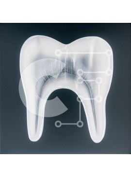 Intra Συλλεκτικό Ξύλινο Παζλ Plywood  4mm - Εικόνα ακτίνων Χ ενός δοντιού που δείχνει την εσωτερική δομή Σε Ξύλινο Κουτί - Διαστάσεις Puzzle: 10x10 cm – 25 κομμάτια