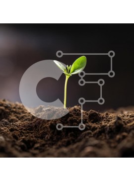 Intra Συλλεκτικό Ξύλινο Παζλ Plywood  4mm - Νέο σπορόφυτο που αναπτύσσεται από το έδαφος Σε Ξύλινο Κουτί - Διαστάσεις: 10x10 cm – 25 κομμάτια