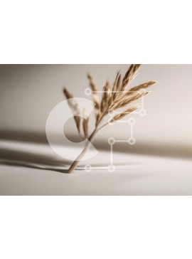 Intra Συλλεκτικό Ξύλινο Παζλ Plywood  4mm - Κλαδί αποξηραμένου χόρτου σε απαλό φως Σε Ξύλινο Κουτί - Διαστάσεις: 10x10 cm – 25 κομμάτια