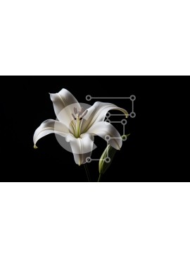 Intra Συλλεκτικό Ξύλινο Παζλ Plywood  4mm - Κομψό λευκό λουλούδι κρίνων σε σκούρο φόντο Σε Ξύλινο Κουτί - Διαστάσεις: 10x10 cm – 25 κομμάτια