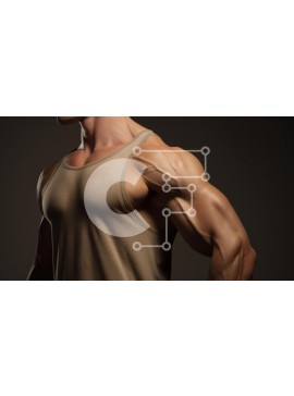 Intra Συλλεκτικό Ξύλινο Παζλ Plywood  4mm - Μυώδης άνδρας με φανελάκι Σε Ξύλινο Κουτί - Διαστάσεις Puzzle: 10x10 cm – 25 κομμάτια